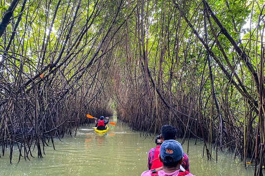Tour image 6